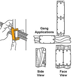 Press-On Nail Plate applications